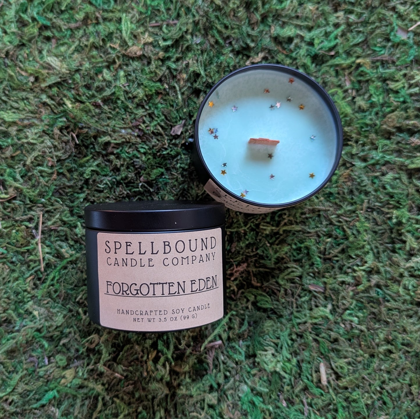 Forgotten Eden Mini Tin