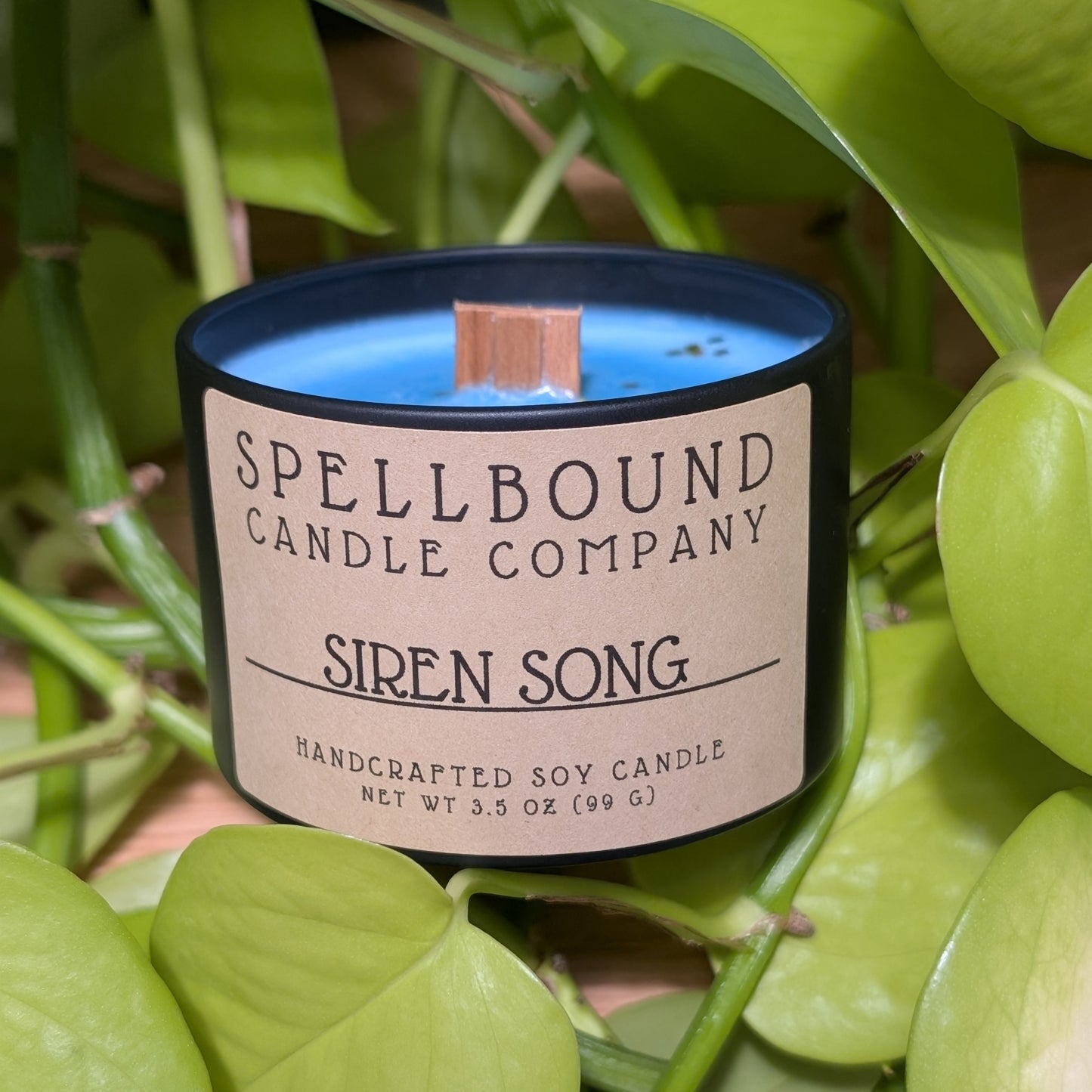 Siren Song Mini Tin