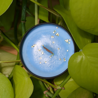 Siren Song Mini Tin