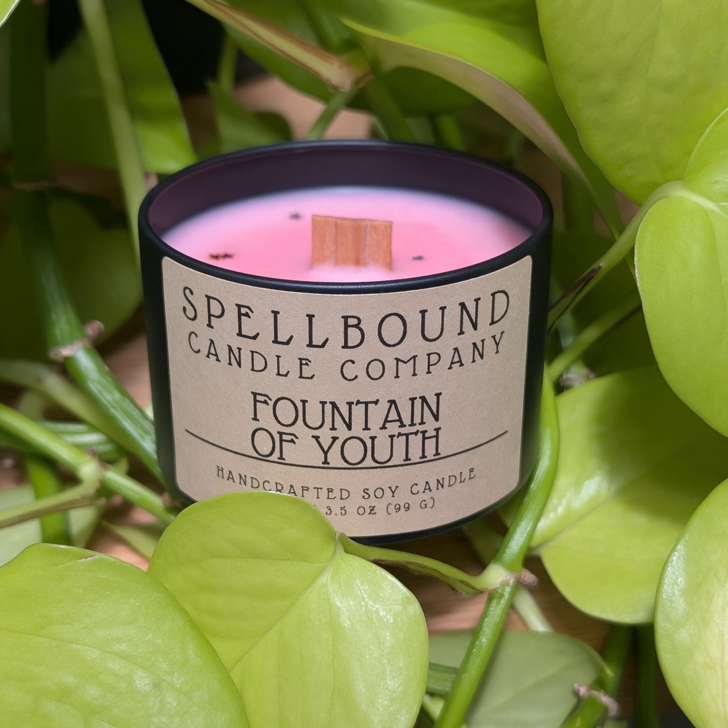 Fountain of Youth Mini Tin