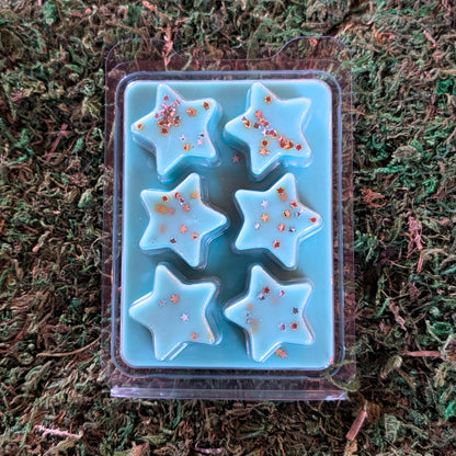 Apothecary Wax Melt