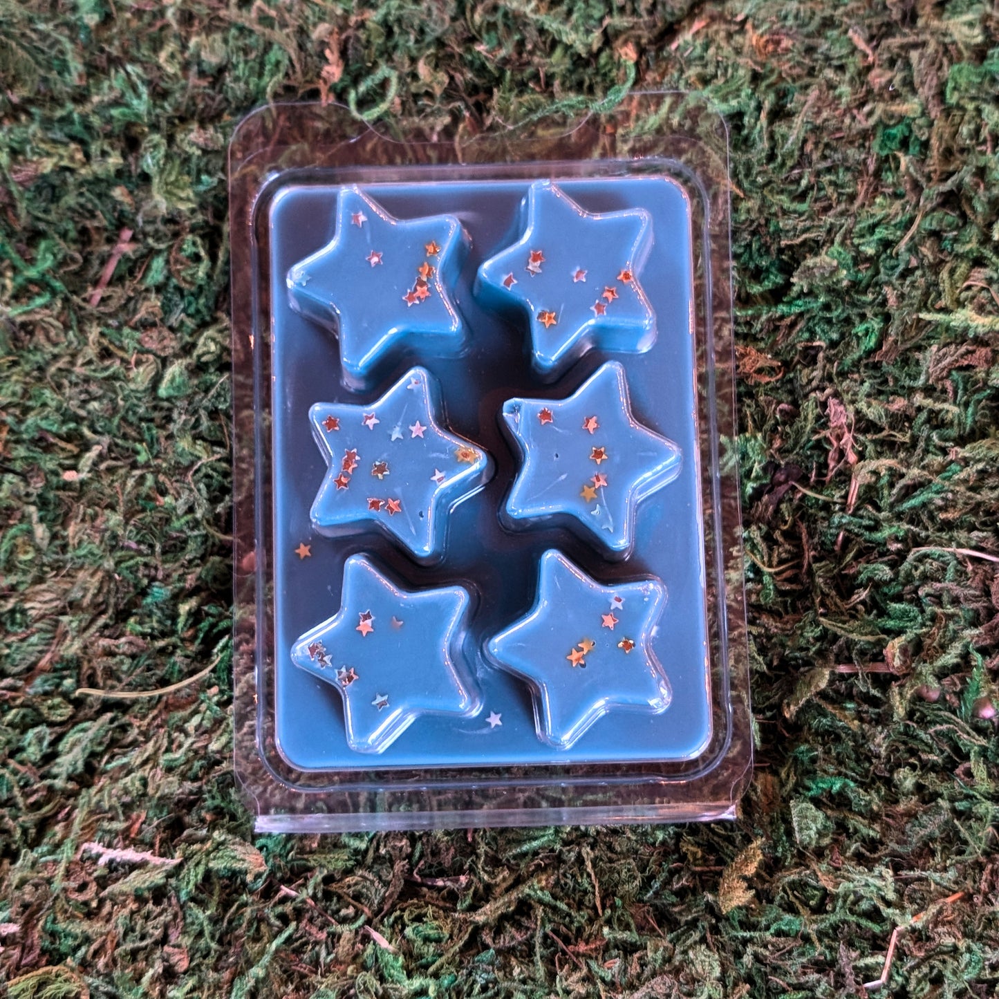 Bewitched Wax Melt