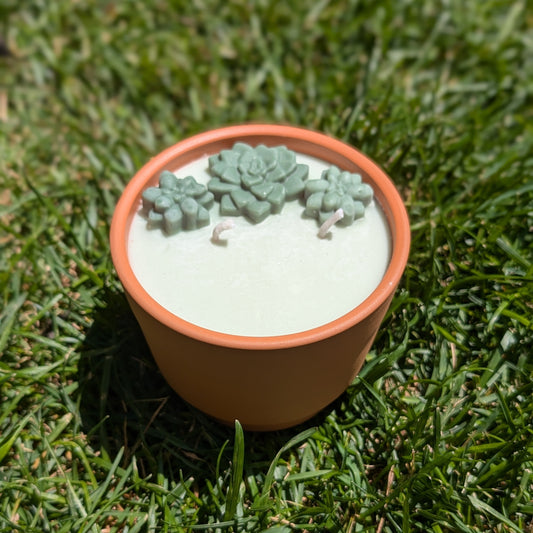 Fuck Off Citronella Pot